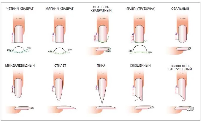 Extension des ongles avec du gel. Instructions photo pour les débutants. Quel gel est le meilleur, technologie sur les formes, conseils