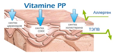 Niacinamide pour la peau du visage, des cheveux, contre les taches de vieillesse. Propriétés, le cas échéant, instruction