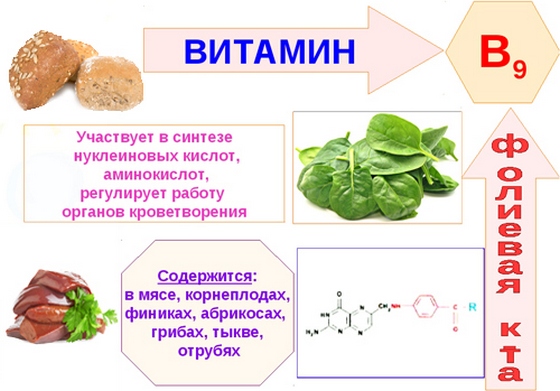 Vitamines sportives pour femmes. Évaluation des meilleurs avec des minéraux, de la vitamine D, E, des protéines