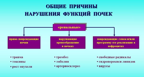 Pommade Stellanin. Instructions d'utilisation, efficacité, avis, analogues