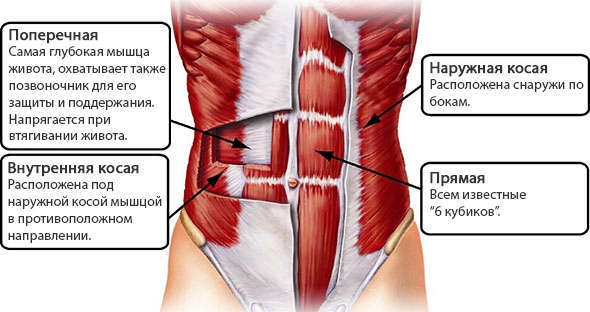 Aspirateur du ventre. Comment faire des exercices correctement, technique pour perdre du poids, gonfler la presse, abdominoplastie après l'accouchement