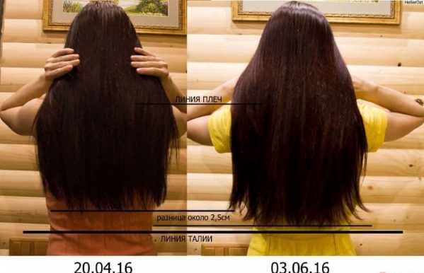 Huile d'amla pour les cheveux - avantages, recettes d'utilisation, qui convient, comment utiliser