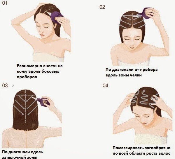 Huile d'amla pour les cheveux - avantages, recettes d'utilisation, qui convient, comment utiliser