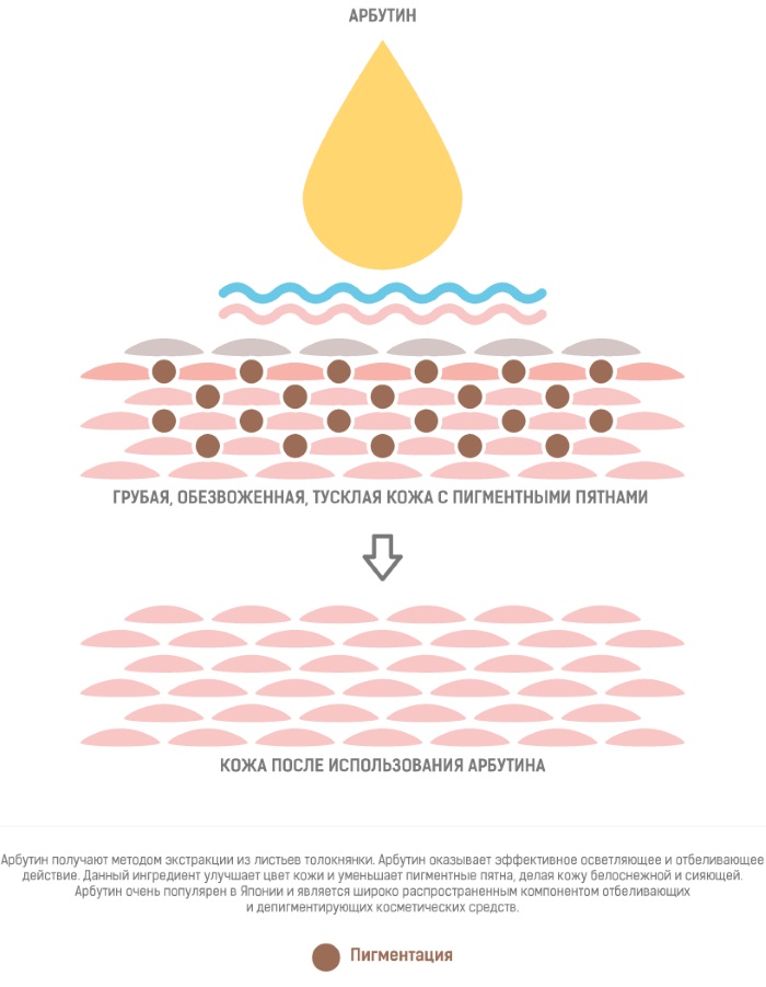 Qu'est-ce que l'hydroquinone, application en cosmétologie: crèmes blanchissantes, peeling, pommade, comprimés. Achroactive Max, avis