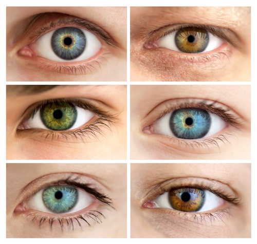 Comment changer la couleur des yeux. Quelles sont les couleurs, la chirurgie à changer, les gouttes avec des hormones