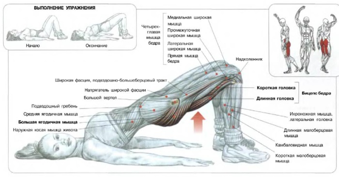 Comment gonfler les fesses à la maison pour les filles: exercices, squats, fentes, entraînement