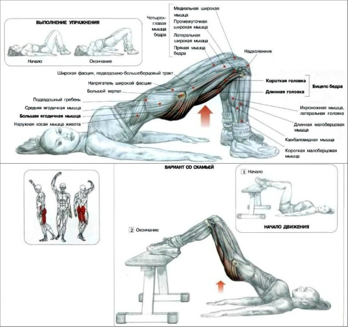 Circuit training pour filles pour tous les groupes musculaires à la maison. Exercices pour brûler les graisses avec kettlebells, balle