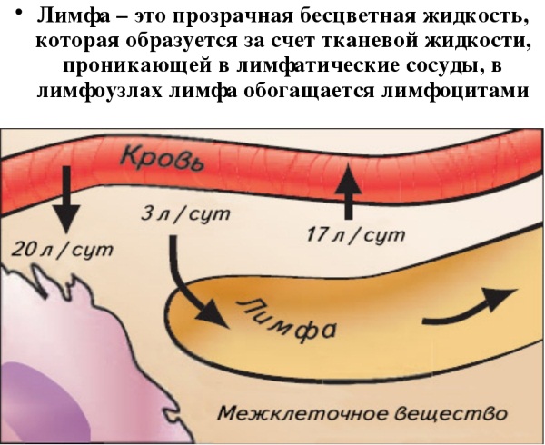 Massage de drainage lymphatique pour le visage et le corps. Matériel et technique manuelle, comment le faire à la maison