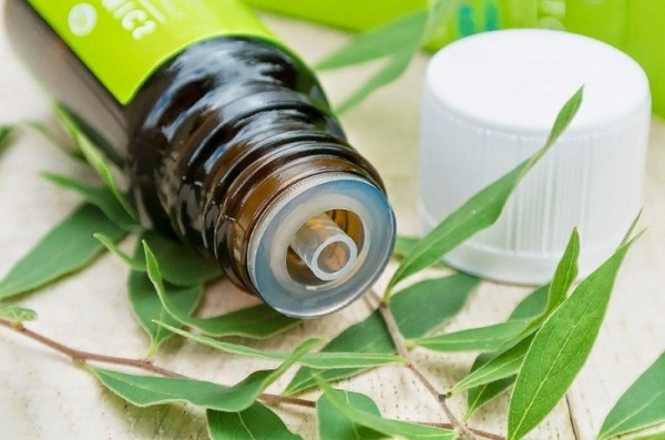 L'huile de neem. Propriétés et application, bienfaits en cosmétologie pour le rajeunissement du visage