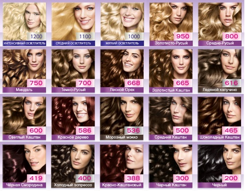 Mousse capillaire: colorant, pour le coiffage, le volume, la coloration, la teinte. Palette Schwarzkopf, Loreal, Mousse Perfect, Wellaton