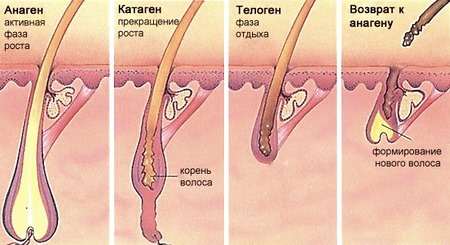 Pantovigar. Instructions d'utilisation, composition, comment prendre des vitamines contre la chute des cheveux, pour la croissance des cheveux. Analogues