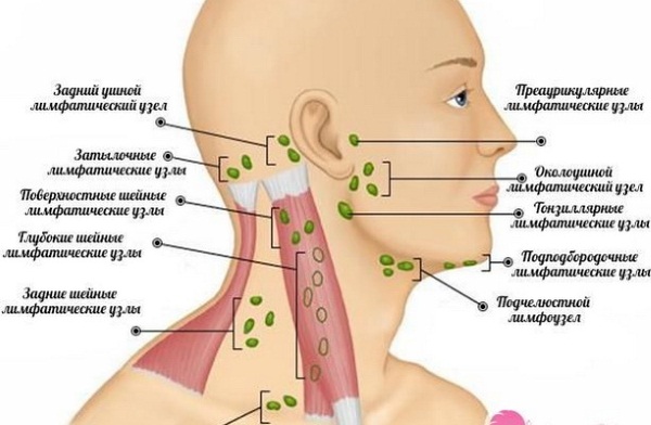 Massage plastique du visage et du corps. Qu'est-ce que c'est, technique, formation, critiques et tutoriels vidéo