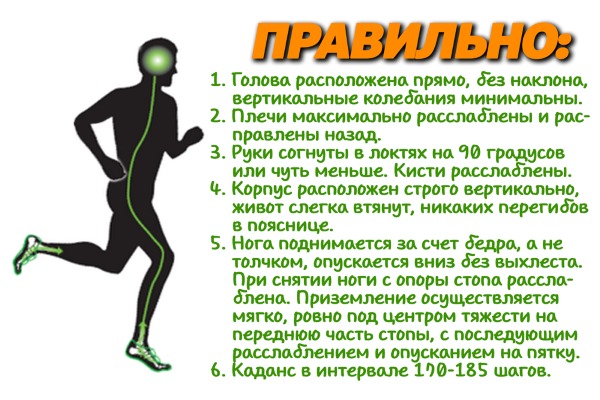 Faire du jogging le matin pour perdre du poids. Avantages et inconvénients, quel est le meilleur, comment commencer. Résultats, calendrier, règles