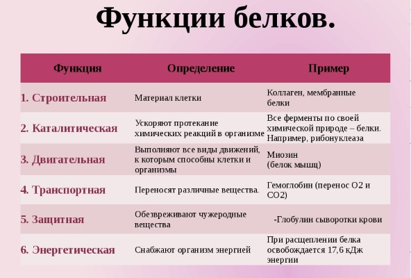 Les aliments les plus protéinés. Liste pour perte de poids, gain de poids, renforcement musculaire, maternité, végétariens