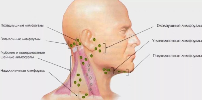 Volé sur le visage: qu'est-ce que c'est, comment l'enlever. Exercice, gymnastique, massage pour resserrer à la maison