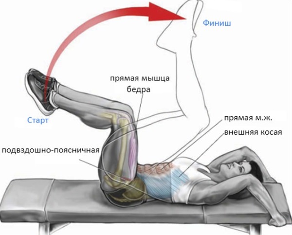 Comment éliminer les plis graisseux du dos en peu de temps. Exercice, régime, massage