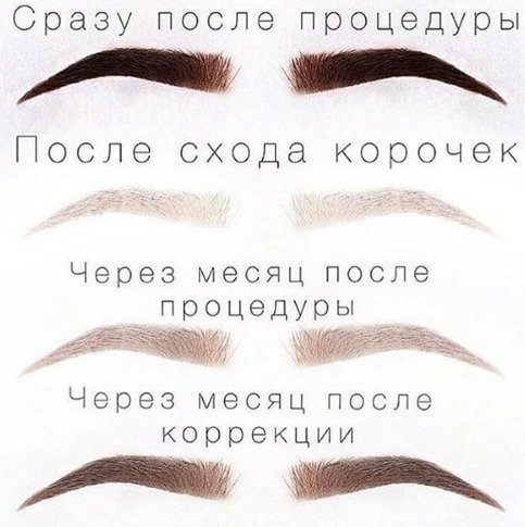 Époussetage des sourcils. Qu'est-ce que c'est, poudré, nano, tatouage, maquillage permanent, pixel, velours, matériel