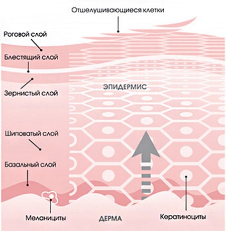 Rétinoïdes locaux, systémiques, topiques, externes pour le visage pour l'acné, les rides, l'acné, le psoriasis. Comprimés, crèmes, pommades, lotions