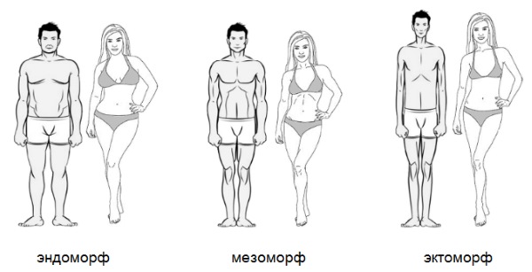 Entraînements à domicile pour tous les groupes musculaires. Programme avec Reutova, sans équipement, pour ectomorphe, perte de poids, pour la presse