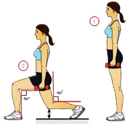 Entraînements à domicile pour tous les groupes musculaires. Programme avec Reutova, sans équipement, pour ectomorphe, perte de poids, pour la presse