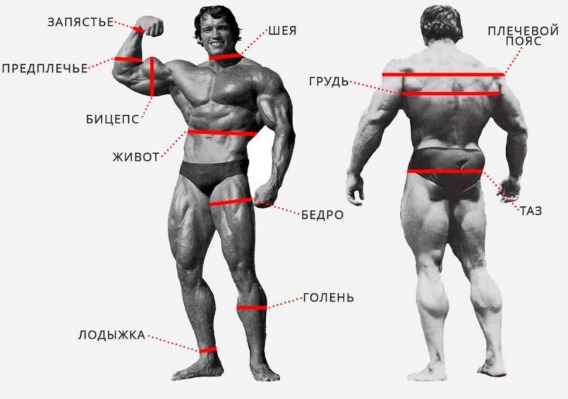 Poids idéal pour votre taille pour les filles. Table d'âge. Calcul selon Ducan, la formule de Malysheva, Duval, Brock, Dushanin