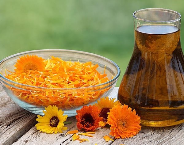 Huile de calendula. Propriétés et application pour les cheveux, le visage, les cils, les ongles. Cosmétique, hydrophile, essentiel. Quoi acheter et comment cuisiner