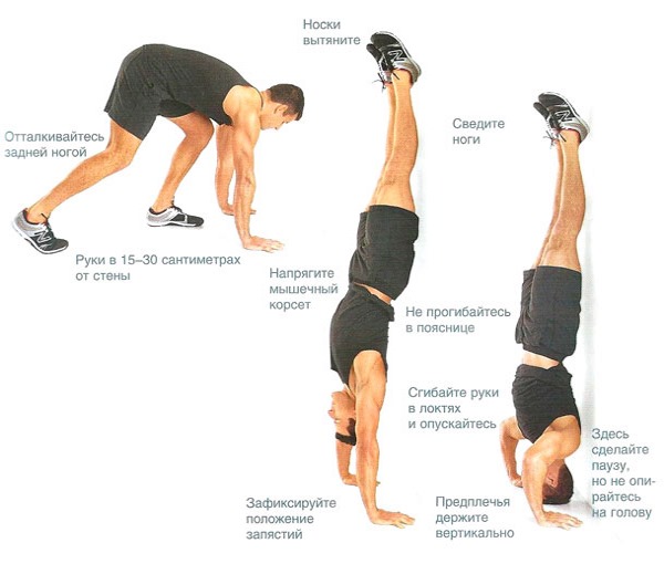 Programme push-up pour les débutants. Table pour gagner de la masse musculaire, perdre du poids, pomper les muscles pectoraux, pour tous les muscles du corps