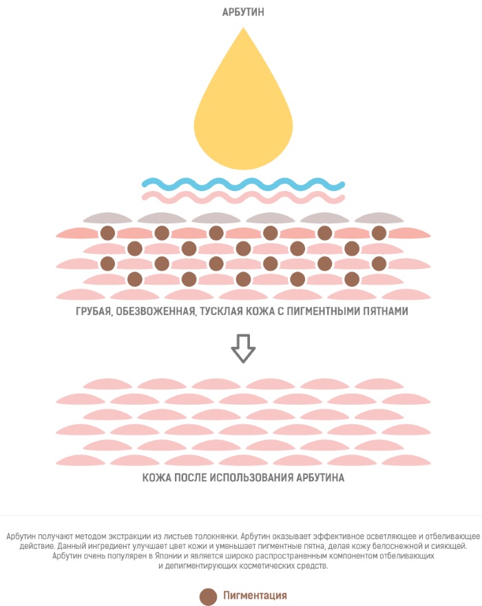 Arbutine. À quoi ça sert dans les cosmétiques. Crèmes, masques pour les taches de vieillesse, propriétés, application en gynécologie