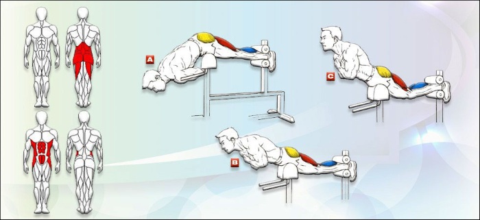 Hyperextension. Qu'est-ce que c'est, un simulateur, une technique d'exécution. Comment faire un exercice à la maison sans simulateur, sur un fitball. Contre-indications