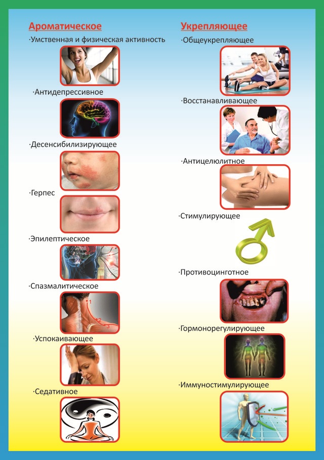 Huile de bergamote. Propriétés et utilisation à la maison à l'intérieur, pour le visage, les cheveux, la peau, les coups de soleil, le bain, pour l'acné, l'herpès, la lamblia, la cellulite, en gynécologie, la magie