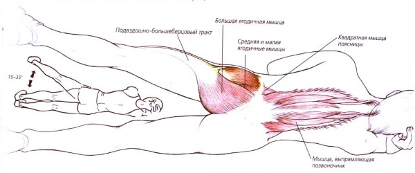 Exercices de mise en forme pour perdre du poids à la maison. Cours vidéo de fitness, exercices pour débutants, programme d'entraînement