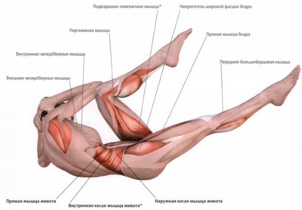 Exercices pour l'abdomen et les côtés pour éliminer la graisse de la taille. Entraînements efficaces à la maison