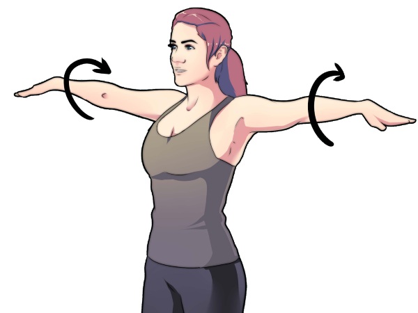 Exercices de la main pour les filles à la maison. Entraînements avec et sans haltères, poids corporel pour les biceps, les triceps. Comment construire du muscle