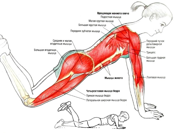 Exercices de la main pour les filles à la maison. Entraînements avec et sans haltères, poids corporel pour les biceps, les triceps. Comment construire du muscle