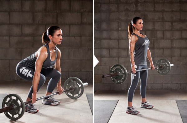 Exercices de base dans le gymnase pour les filles pour tous les groupes musculaires, perte de poids