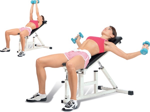 Exercices de base dans le gymnase pour les filles pour tous les groupes musculaires, perte de poids