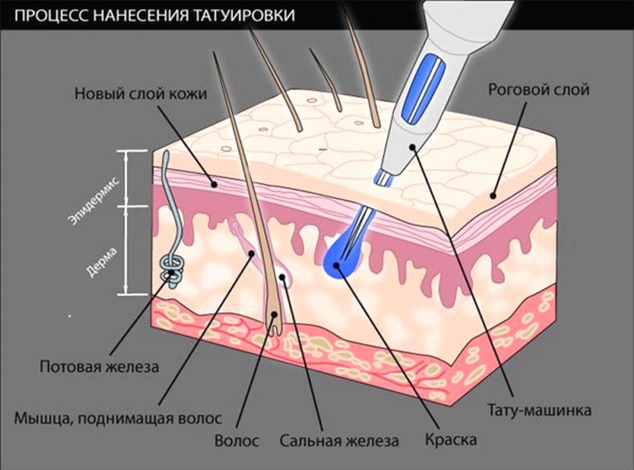 Maquillage permanent des sourcils. Contre-indications, conséquences, complications