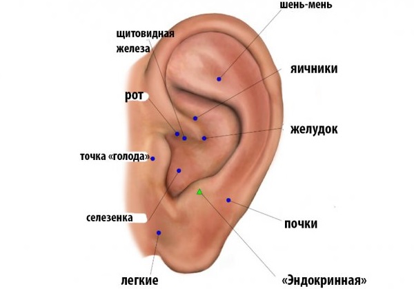 Points sur le corps pour amincir l'abdomen, les côtés, les hanches. Acupuncture du corps humain, diagramme, photo, vidéo