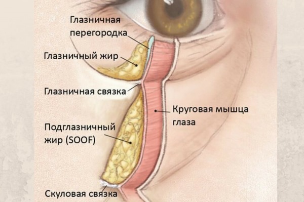 Effet Tyndall en cosmétologie sous les yeux, sur la peau des lèvres. Lorsqu'on observe comment supprimer