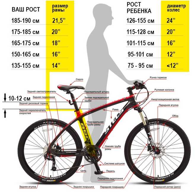 Une balade à vélo. Avantages et inconvénients pour les hommes et les femmes. Norme combien vous devez conduire