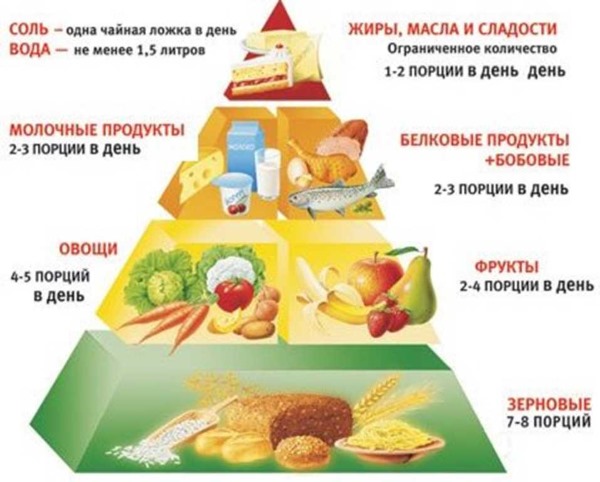 Fonctions des protéines dans le corps humain. Tableau avec des exemples pour athlète, culturiste, nutrition