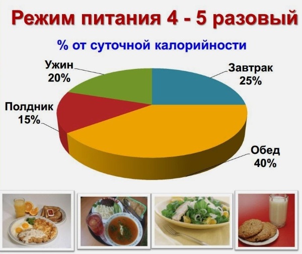 Fonctions des protéines dans le corps humain. Tableau avec des exemples pour athlète, culturiste, nutrition