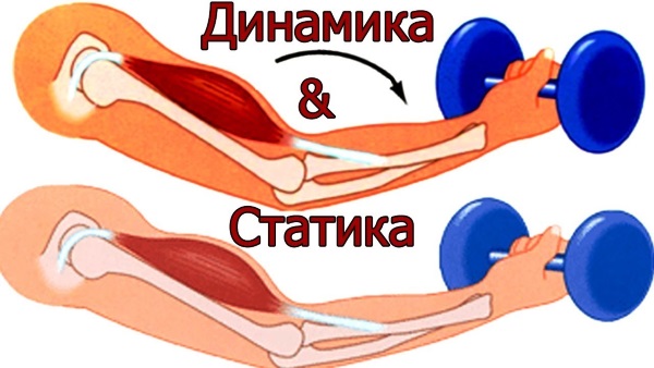 Exercices isométriques. Complexe pour les jambes, la colonne cervicale, le dos, la presse. Comment le faire à la maison