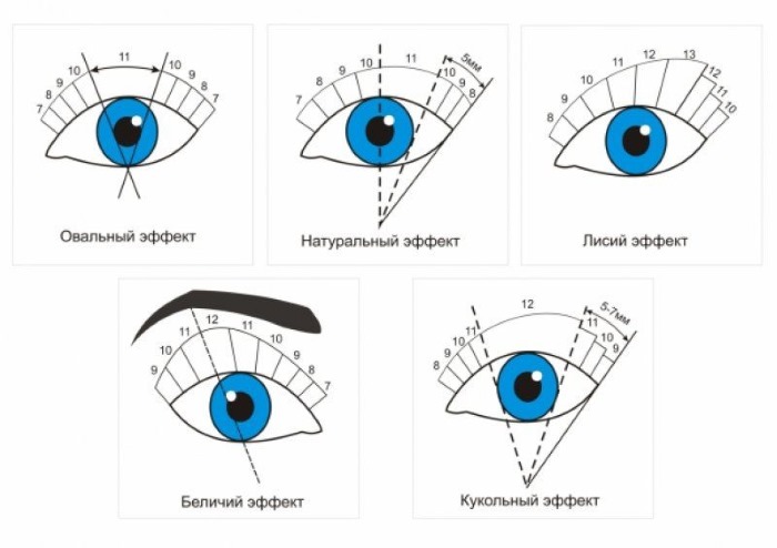 Effet naturel de l'extension des cils. Schéma 2-3d, photos avant et après