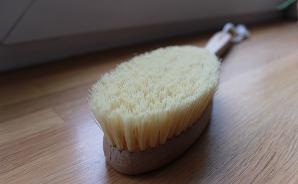 Brosse de massage à sec aux poils naturels, cactus, anti-cellulite. Prix ​​et avis