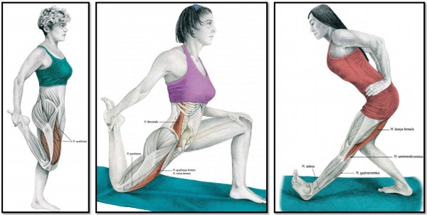 Faites de l'exercice sur un vélo d'exercice pour perdre du poids. Système de combustion des graisses pour les femmes et les hommes débutants