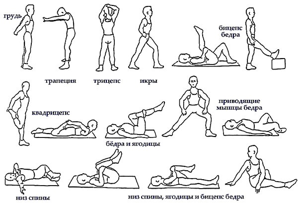 Exercices pour enlever les côtés et le ventre pour les femmes au gymnase, à la maison