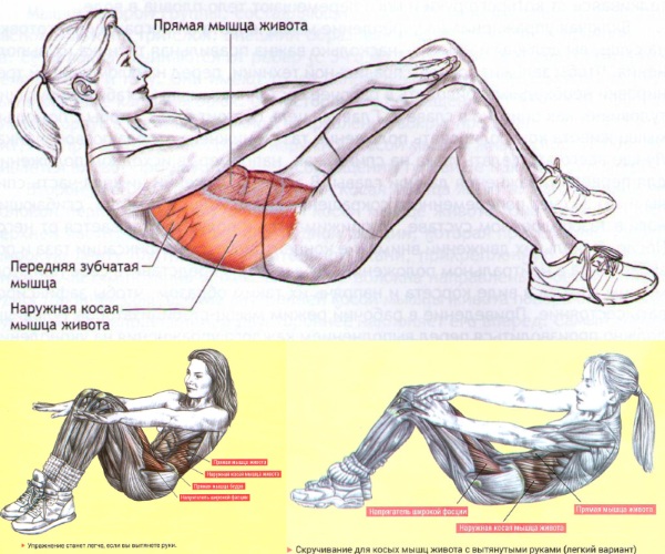 Exercices pour une posture droite au gymnase et à la maison