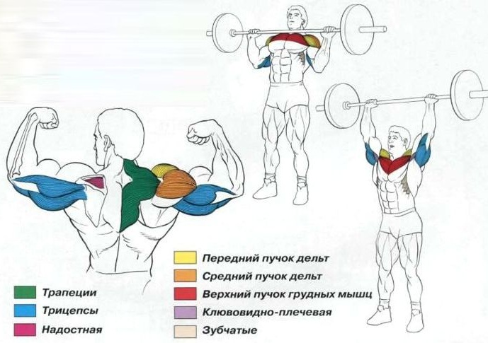 Types de simulateurs dans le gymnase et comment les utiliser. Noms pour les filles