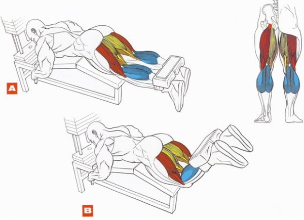 Types de simulateurs dans le gymnase et comment les utiliser. Noms pour les filles